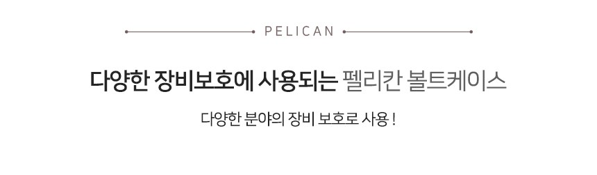 펠리칸 볼트 V770 케이스 9
